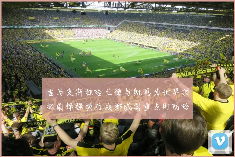吉马良斯称哈兰德与凯恩为世界顶级前锋强调对战挪威需重点盯防哈兰德